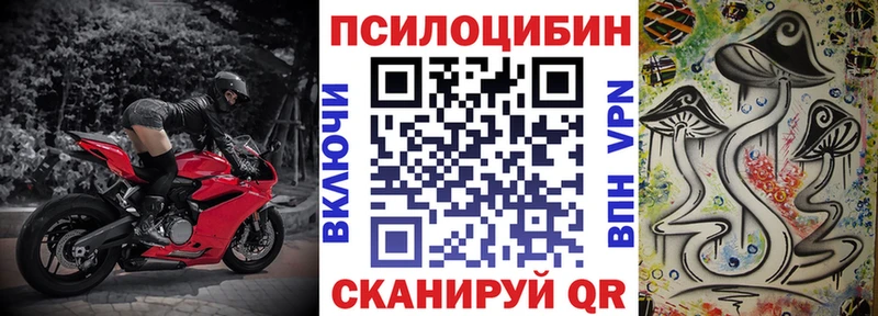 Псилоцибиновые грибы прущие грибы  Арск 